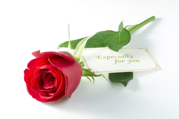 心をも動かした手土産成功体験