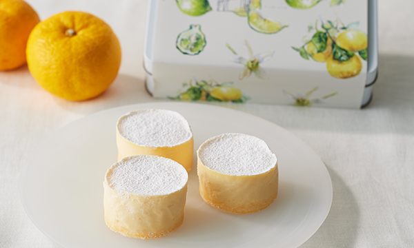 チーズケーキKANKANの内容画像