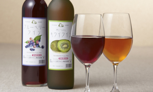ブルーベリーワイン&キウイワイン 2本箱入り