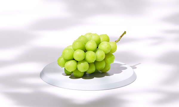 極旬シャインマスカット贈答用ギフトカードの内容画像