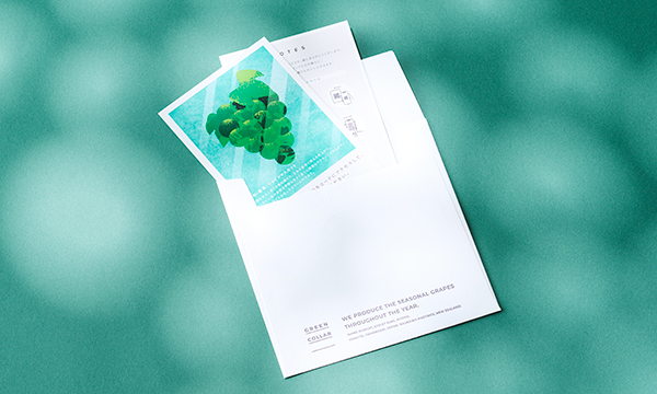 極旬シャインマスカット贈答用ギフトカードの包装画像