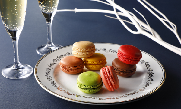マカロン詰め合わせ 14個入 Dalloyau 接待の手土産 ぐるなび