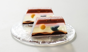 Fly Me to The Moon chocolate チョコ羊羹ファンタジア
