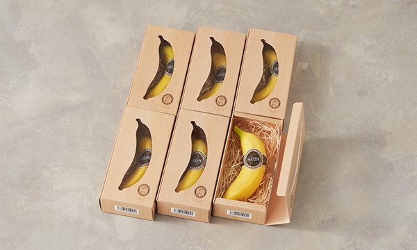 希少！宮崎県産バナナ NEXT716 【レギュラー×6本】の箱画像