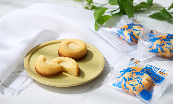 CHEESECAKE BREAK チーズティグレ